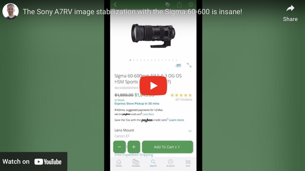 Sigma 60-600mm image stabilization.