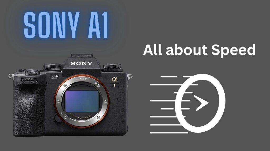 The best sony camera for professionals.jpg