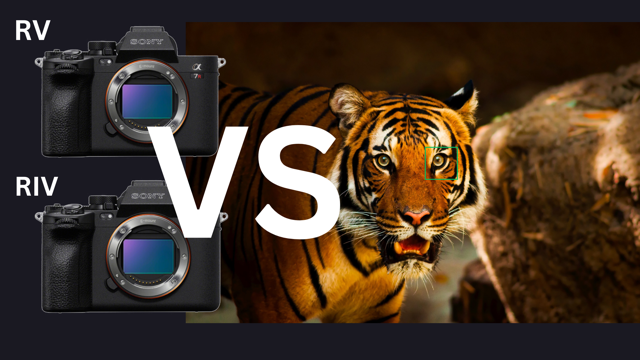 Sony A7RIV vs A7RV for wildlife photography